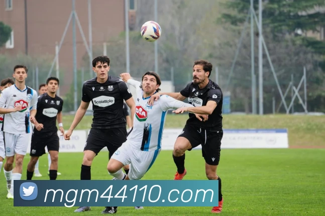 战术分析频道